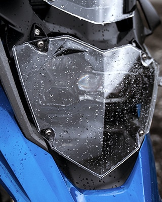 R 1200 GS headlight guard